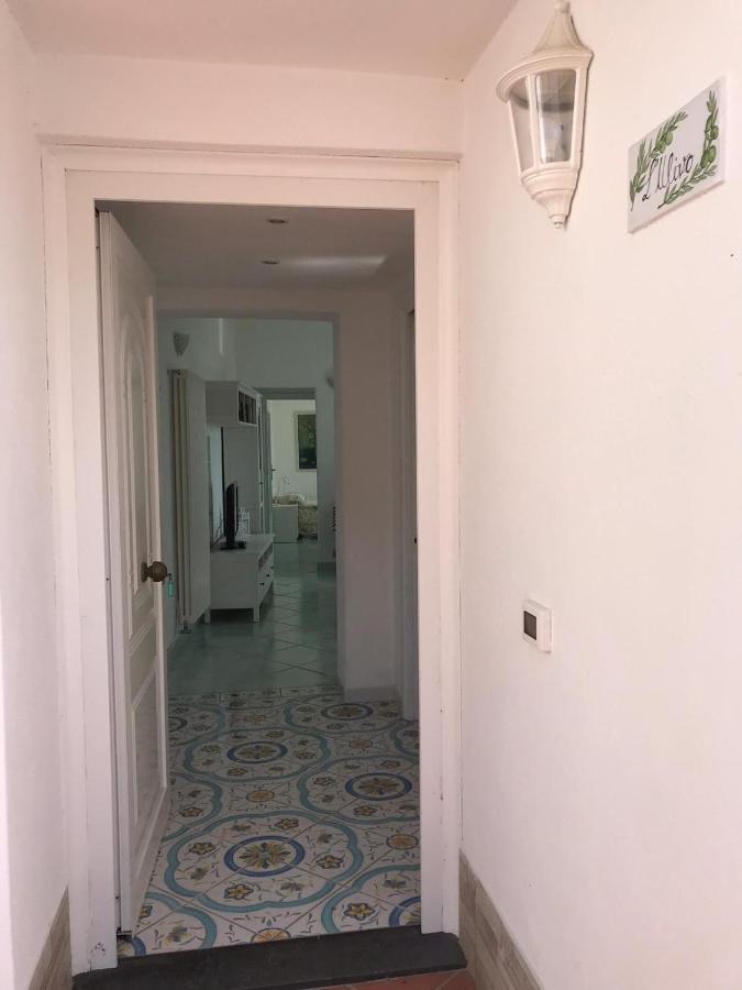 L' Ulivo Villa Nunzia Barano dʼIschia Extérieur photo