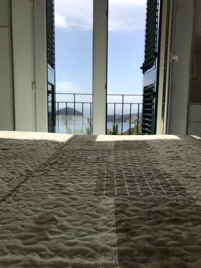 L' Ulivo Villa Nunzia Barano dʼIschia Extérieur photo