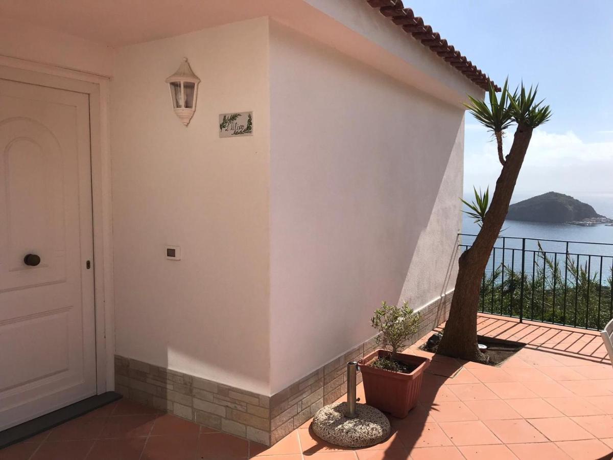 L' Ulivo Villa Nunzia Barano dʼIschia Extérieur photo
